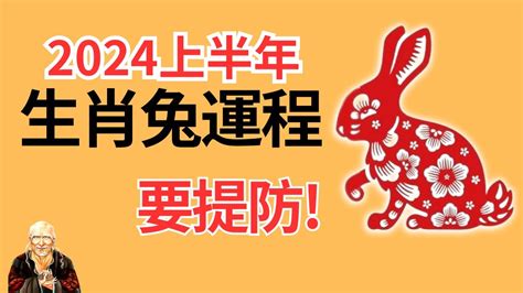 兔2024運勢|2024年属兔人的全年运势 属兔人2024年每月运势及运程详解